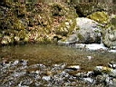 2007-03-31 012.JPG
